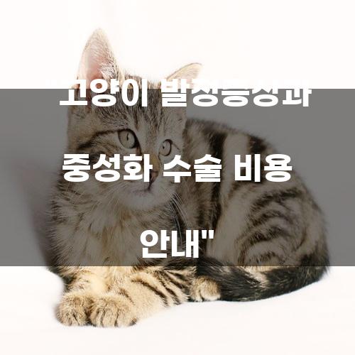 고양이 발정증상과 중성화 수술 비용 안내