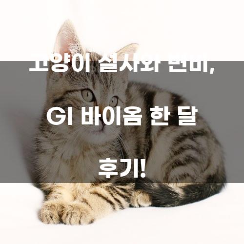 고양이 설사와 변비, GI 바이옴 한 달 후기!