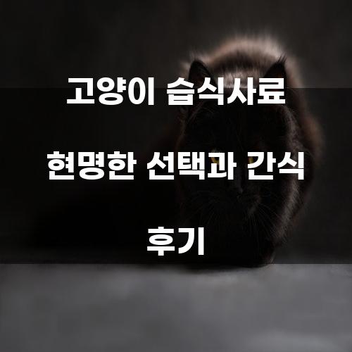 고양이 습식사료: 현명한 선택과 간식 후기