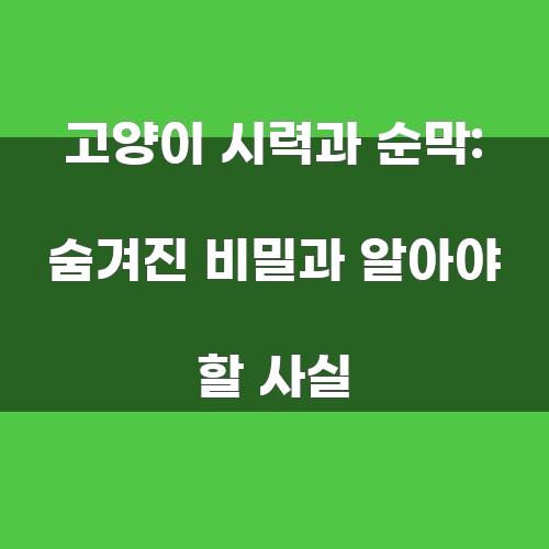 고양이 시력과 순막: 숨겨진 비밀과 알아야 할 사실