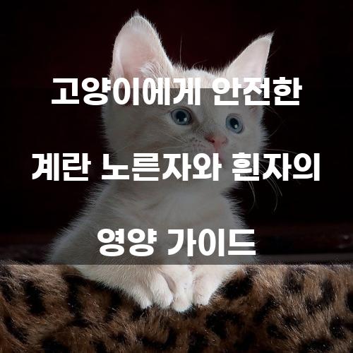 고양이에게 안전한 계란 노른자와 흰자의 영양 가이드