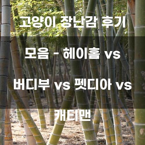 헤이홈 vs 버디부 vs 펫디아 vs 캐티맨: 고양이 장난감 후기 모음
