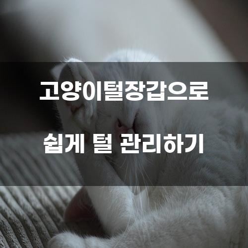 고양이털장갑으로 쉽게 털 관리하기