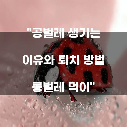 콩벌레와 공벌레: 이유와 퇴치 방법