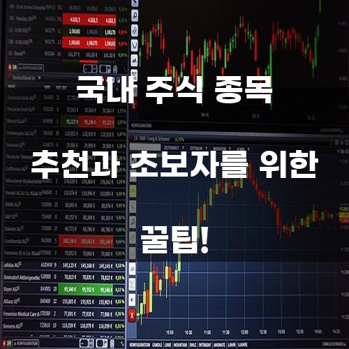 국내 주식 종목 추천과 초보자를 위한 꿀팁!