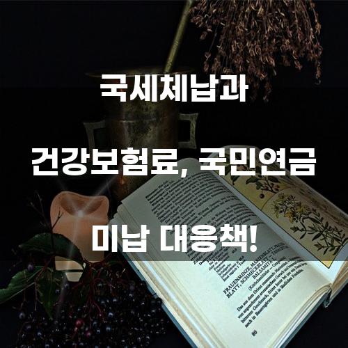 국세체납과 건강보험료, 국민연금 미납 대응책!