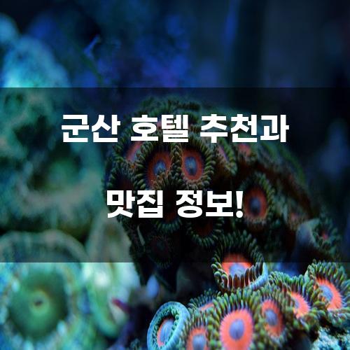 군산 호텔 추천과 맛집 정보!