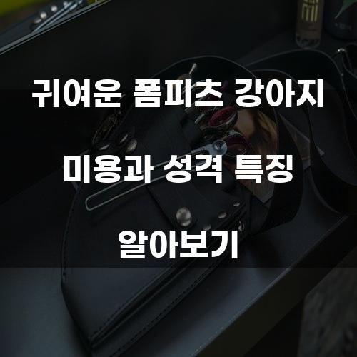 귀여운 폼피츠 강아지 미용과 성격 특징