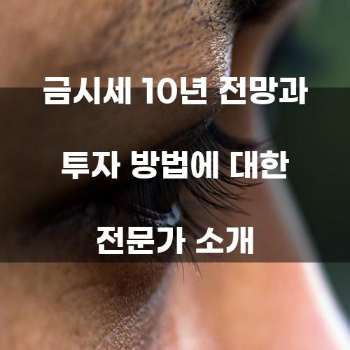 금시세 10년 전망과 투자 방법에 대한 전문가 소개