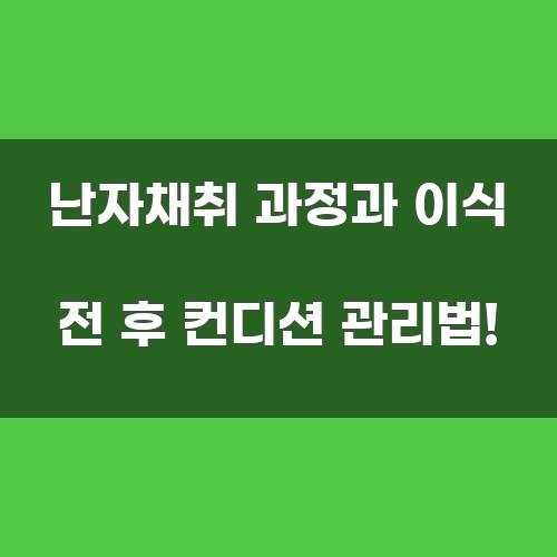 난자채취 과정과 이식 전 후 컨디션 관리법