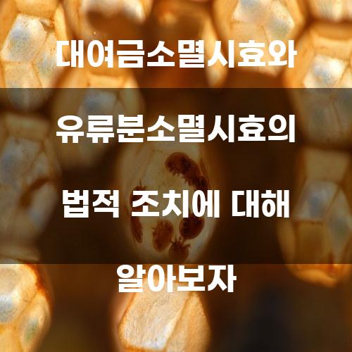 대여금소멸시효와 유류분소멸시효의 법적 조치에 대해 알아보자