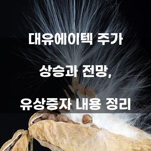 대유에이텍 주가 상승과 전망, 유상증자 내용 정리