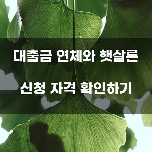 대출금 연체와 햇살론 신청 자격 확인하기