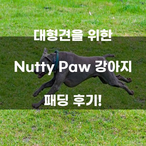 대형견을 위한 Nutty Paw 강아지 패딩 후기!