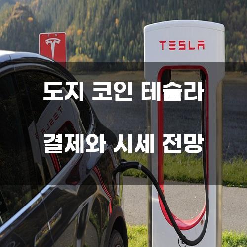 도지 코인 테슬라 결제와 시세 전망