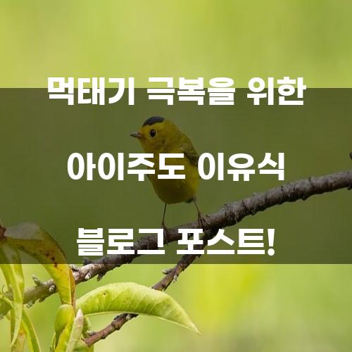 먹태기 극복을 위한 아이주도 이유식 블로그 포스트!