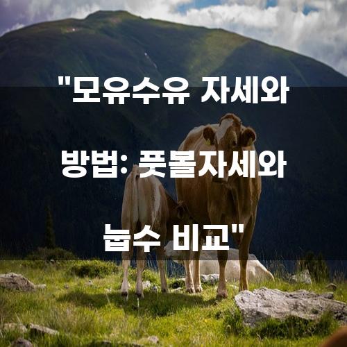 모유수유 자세와 방법: 풋볼자세와 눕수 비교