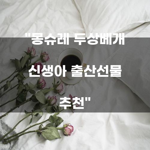 몽슈레 두상베개 신생아 출산선물 추천