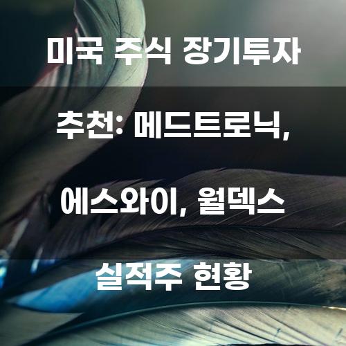 미국 주식 시장에서의 장기투자 추천: 메드트로닉, 에스와이, 월덱스 실적주 현황