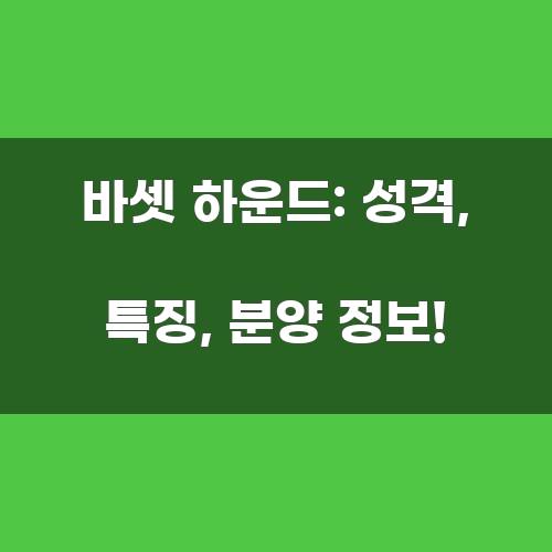 바셋 하운드: 성격, 특징, 분양 정보!