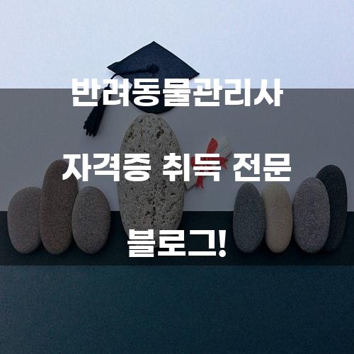 반려동물관리사 자격증 취득 전문 블로그