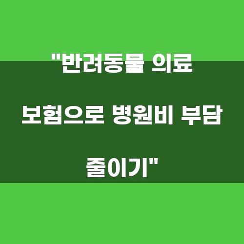 반려동물 의료 보험으로 병원비 부담 줄이기