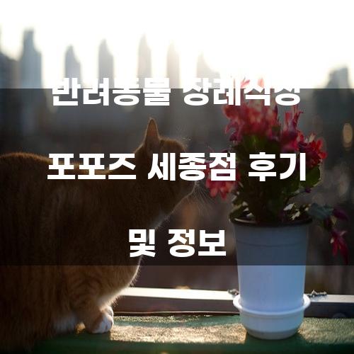 반려동물 장례식장 포포즈 세종점 후기 및 정보