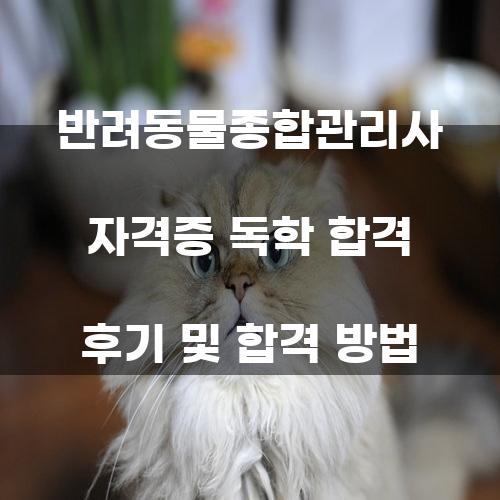 반려동물종합관리사 자격증 독학 합격 후기 및 합격 방법