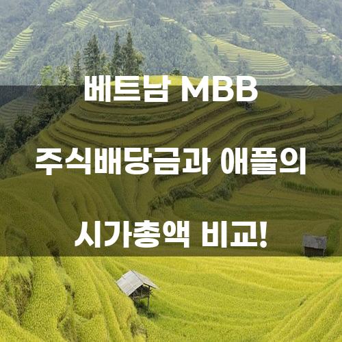 베트남 MBB 주식배당금과 애플의 시가총액 비교!