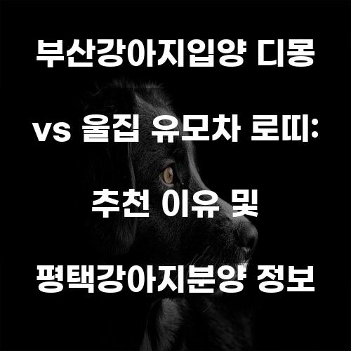 부산강아지입양 디몽 vs 울집 유모차 로띠: 추천 이유 및 평택강아지분양 정보