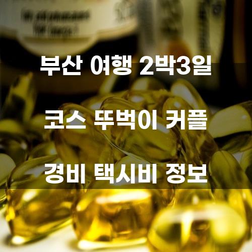 부산 여행 2박3일 코스 뚜벅이 커플 경비 택시비 정보