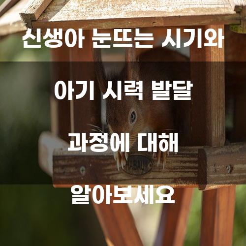 신생아 눈뜨는 시기와 아기 시력 발달 과정