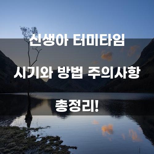 신생아 터미타임 시기와 방법 주의사항 총정리!