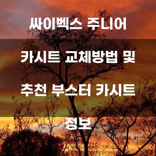 싸이벡스 주니어 카시트 교체방법 및 추천 부스터 카시트 정보