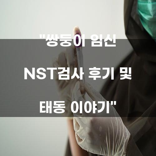 쌍둥이 임신 NST검사 후기 및 태동 이야기