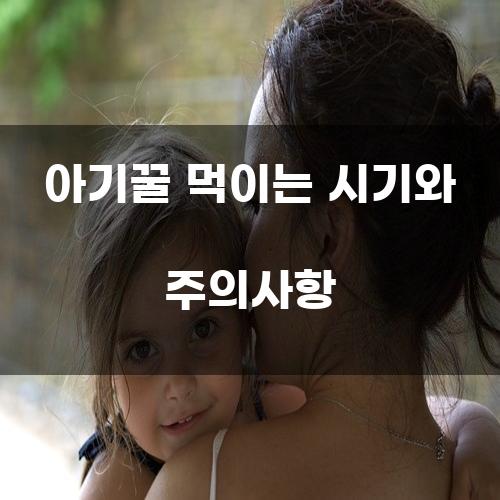 아기꿀 먹이는 시기와 주의사항