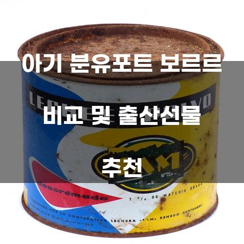 아기 분유포트 보르르 비교 및 출산선물 추천