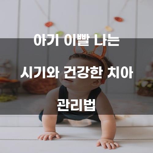 아기 이빨 나는 시기와 건강한 치아 관리법