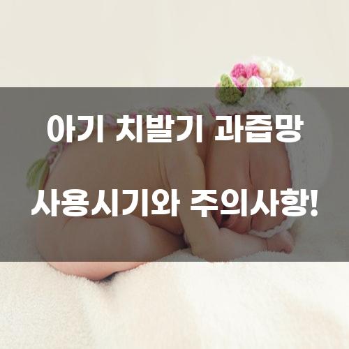 아기 치발기 과즙망 사용시기와 주의사항