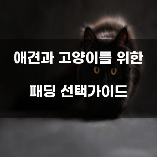 애견과 고양이를 위한 패딩 선택가이드
