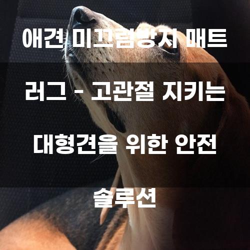 애견 미끄럼방지 매트 러그 – 고관절 지키는 대형견을 위한 안전 솔루션