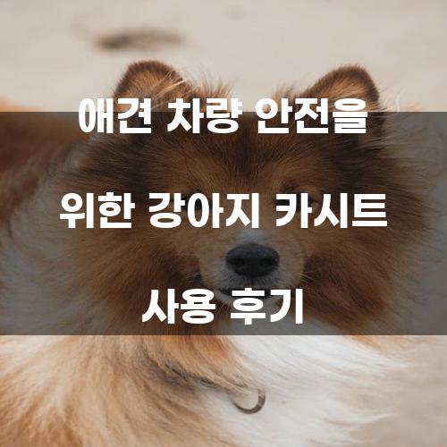 애견 차량 안전을 위한 강아지 카시트 사용 후기