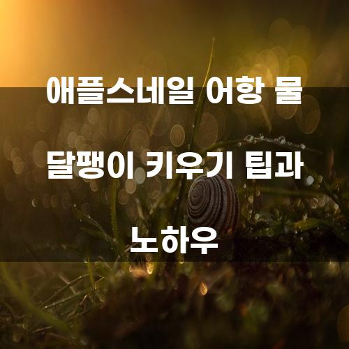 애플스네일 어항 물 달팽이 키우기 팁과 노하우
