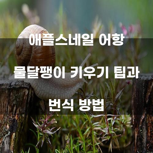 애플스네일 어항 물달팽이 키우기 팁과 번식 방법