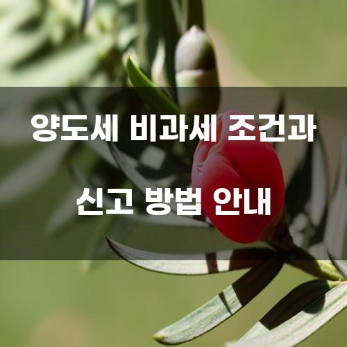 양도세 비과세 조건과 신고 방법 안내
