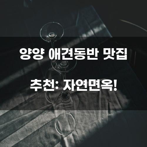 양양 애견동반 맛집 추천: 자연면옥!