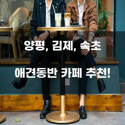 양평, 김제, 속초 애견동반 카페 추천!