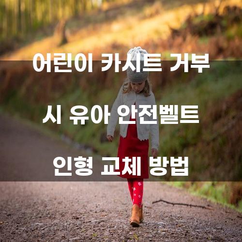 어린이 카시트 거부 시 유아 안전벨트 인형 교체 방법