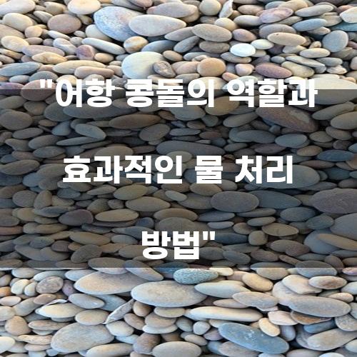 어항 콩돌의 역할과 효과적인 물 처리 방법