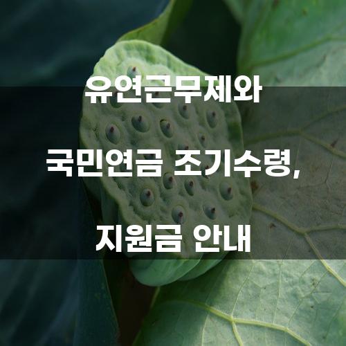 유연근무제와 국민연금 조기수령, 지원금 안내